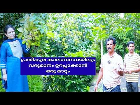 Recent post by Krishi Lokam