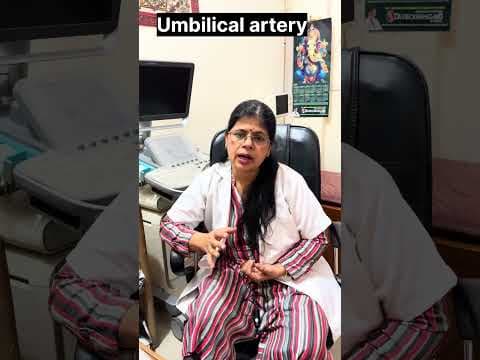 Recent post by Dr Shikha Agarwal
