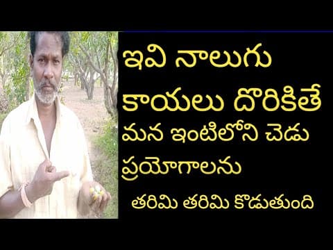 Recent post by ALL AP AYURVEDAM VENKATESH CHANNEL