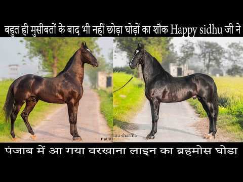 Recent post by manu sharma photography