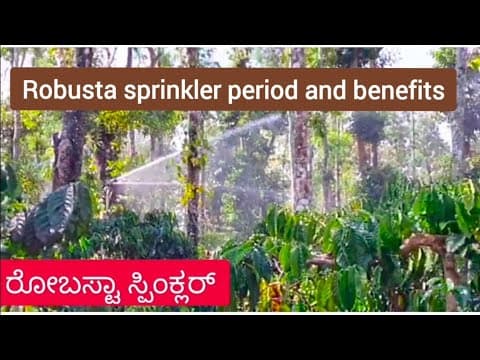 Recent post by Plantation Info {ಕೃಷಿ ಸಲಹೆ}