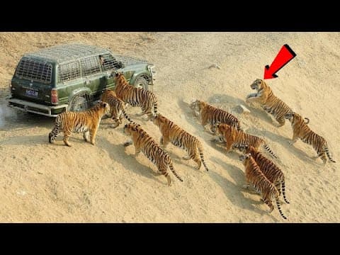 Recent post by The World Adventures