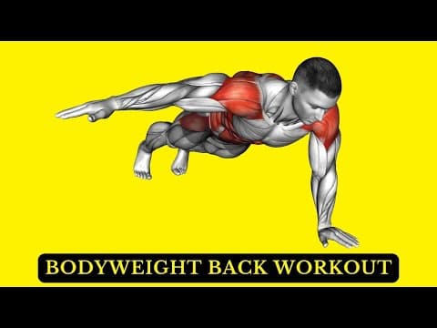 Recent post by FIT LIFE REGIME