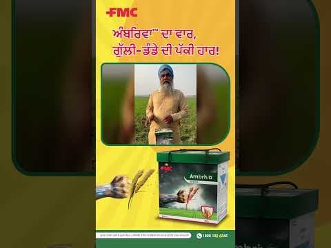 Recent post by FMC India