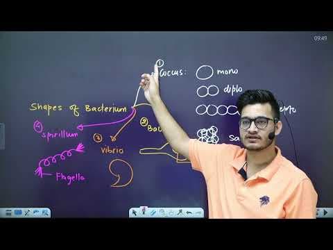 Recent post by Ozone Classes by Vipin Sharma Sir