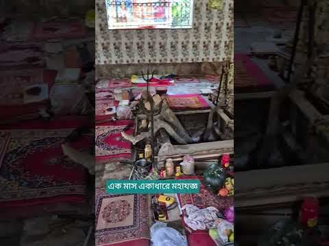 Recent post by Dharmo Mahan