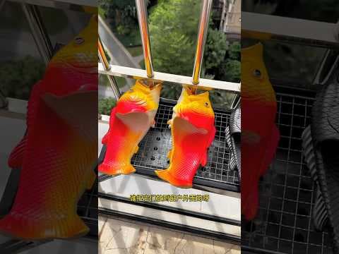Recent post by Abhishek Vlogs 07
