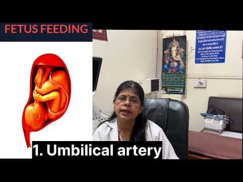 Recent post by Dr Shikha Agarwal