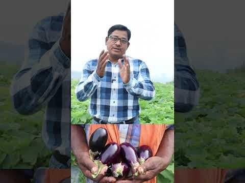Recent post by KRUSHI SAMPADA