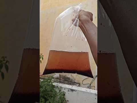 Recent post by Vijay Vlogs