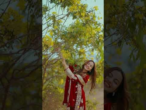 Recent post by Mamuda Khatoon