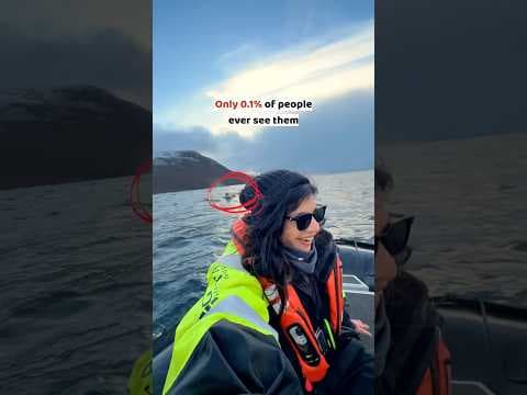 Recent post by Radhika Sharma