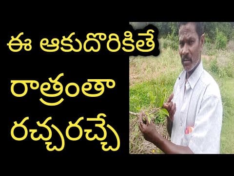 Recent post by ALL AP AYURVEDAM VENKATESH CHANNEL