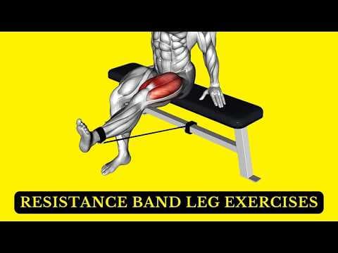 Recent post by FIT LIFE REGIME
