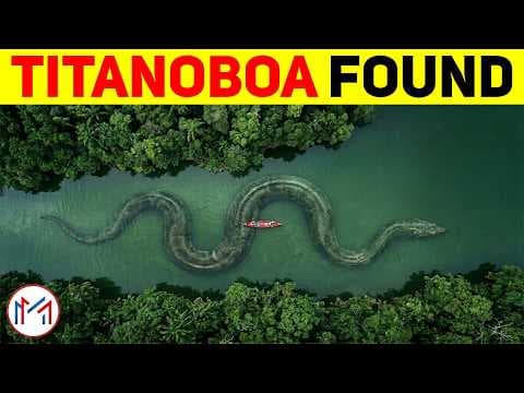 Recent post by Minutes Mystery