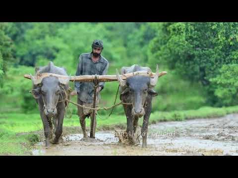 Recent post by Ashish Kambala