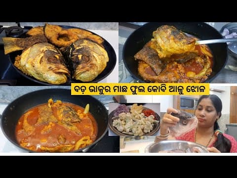 Recent post by rashmi the vlogger