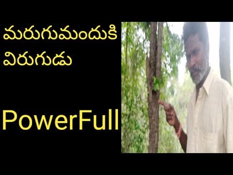 Recent post by ALL AP AYURVEDAM VENKATESH CHANNEL