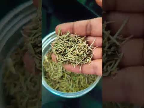 Recent post by Evergreen Masala