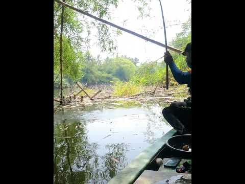 Recent post by Fishy Vlogs - Ajay Thiruvalla