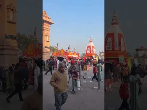 Recent post by Bhavna Yadav