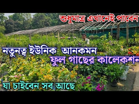 Recent post by Green Friends