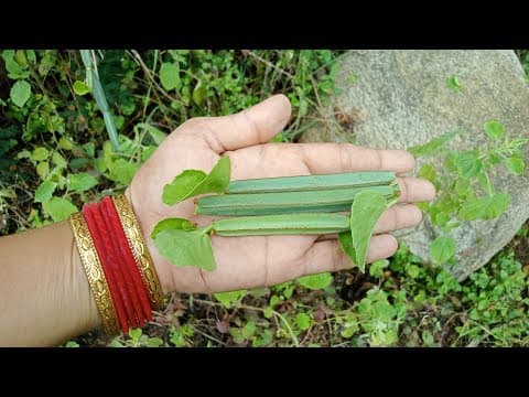 Recent post by Village Real Facts
