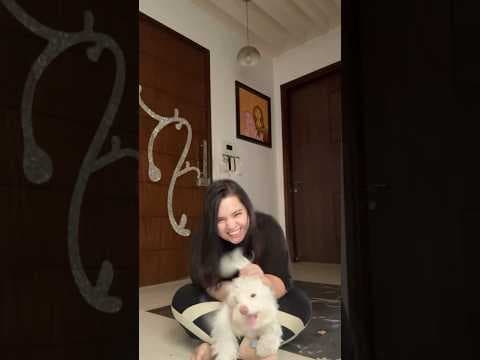 Recent post by Priyanka Sharma