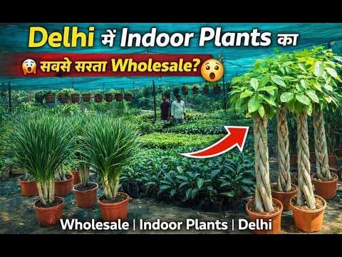 Recent post by Delhi Dudes