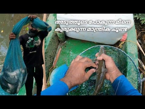 Recent post by Fishy Vlogs - Ajay Thiruvalla
