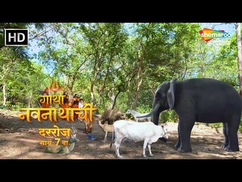 Recent post by Shemaroo MarathiBana