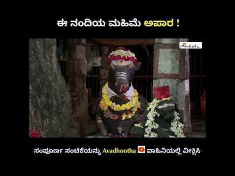 Recent post by Avadhootha