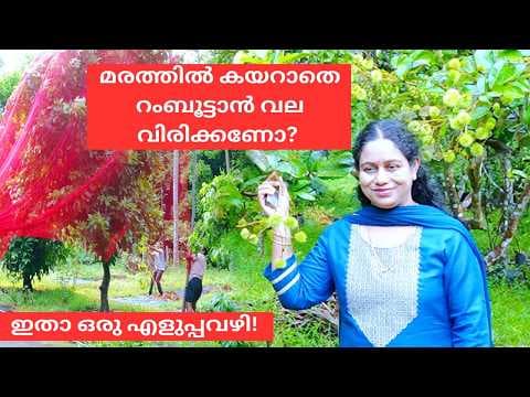 Recent post by Krishi Lokam