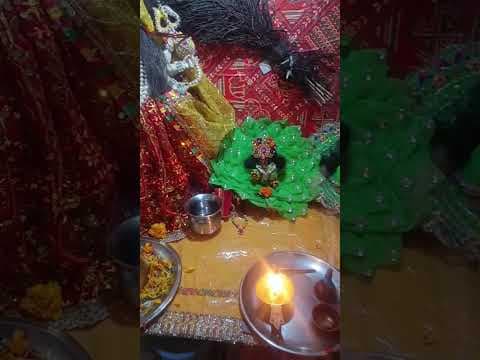 Recent post by Tanesh rajora