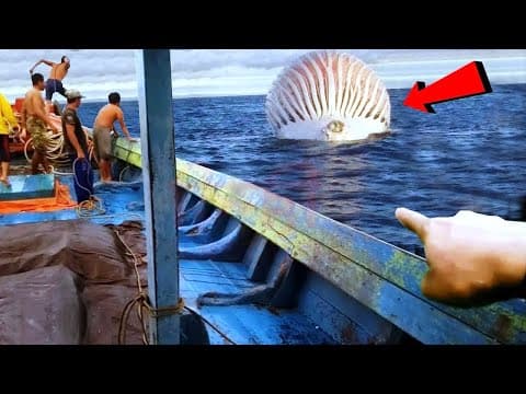 Recent post by The World Adventures