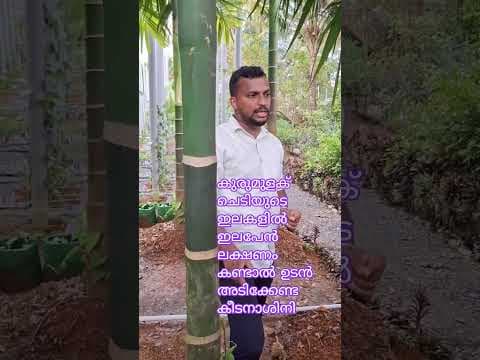 Recent post by കാർഷിക നുറുങ്ങുകൾ By Alfred