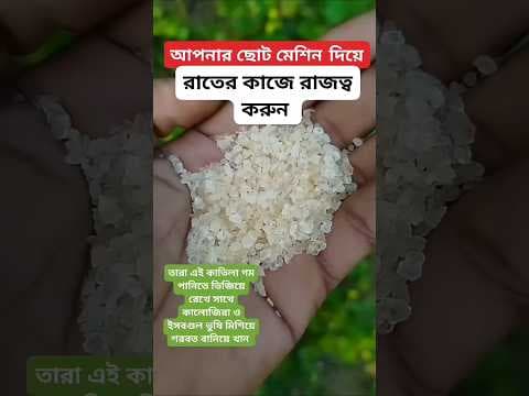Recent post by Hakim Rashid Naogaon