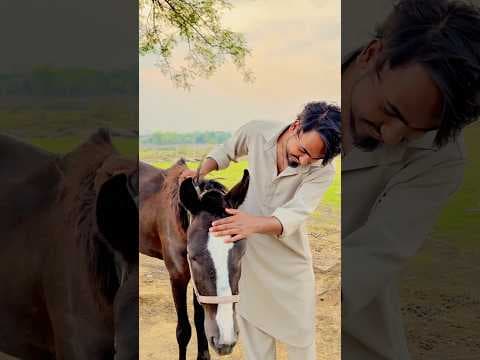 Recent post by Hussainkhan