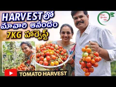 Recent post by TELUGU GARDEN VLOG