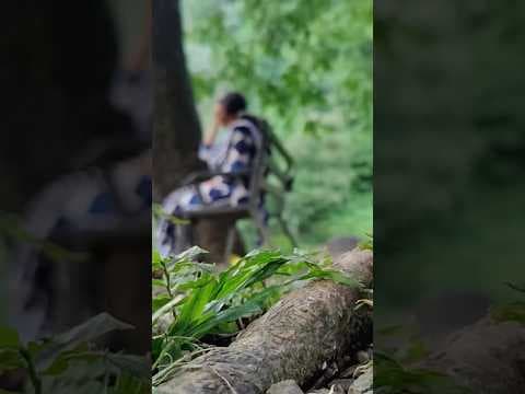 Recent post by The Bengali Couple