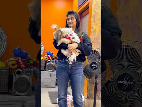 Recent post by Misty Singh