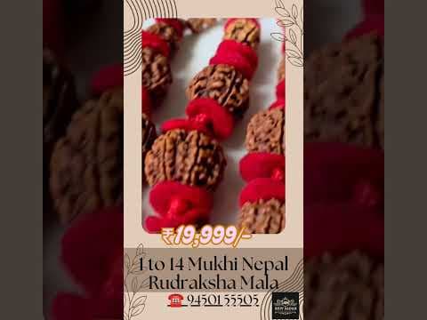 Recent post by Mayunk Saxena