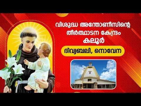 Recent post by Kaloor St Antony