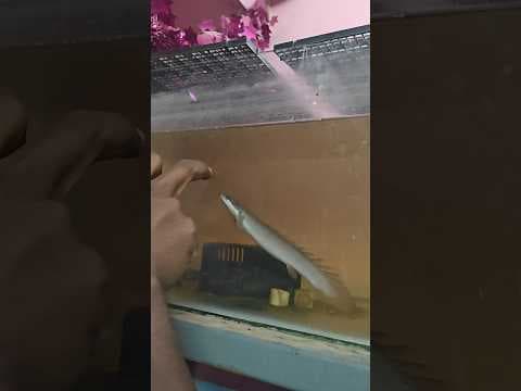 Recent post by Vijay Vlogs