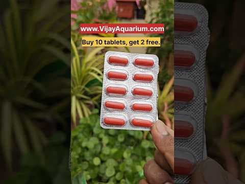 Recent post by Vijay Vlogs