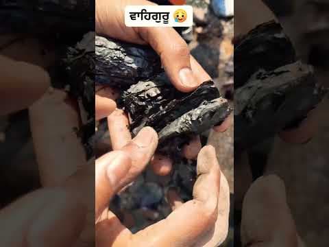 Recent post by Punjabi Village Food Factory