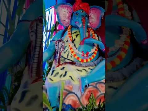 Recent post by Sandeep Mili Vlogs