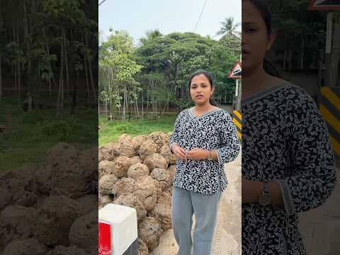 Recent post by Aiswarya k