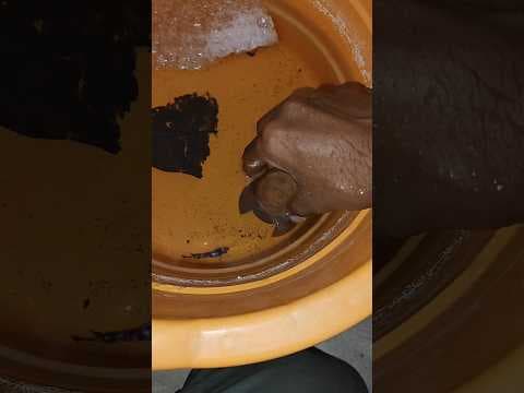 Recent post by Vijay Vlogs