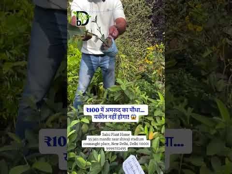 Recent post by Delhi Dudes